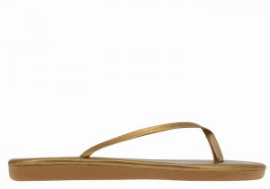 Infradito Ancient Greek Sandals Saionara Donna Oro Marroni | HTF6091TL