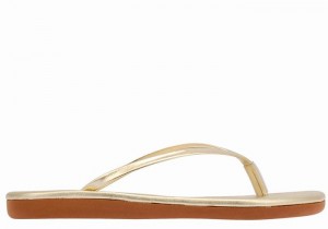 Infradito Ancient Greek Sandals Saionara Donna Oro Bianche | ORD3918CI