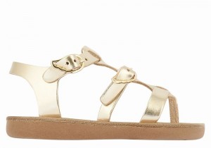 Sandali Bassi Ancient Greek Sandals Little Grace Kelly Soft Bambino Oro Bianche | CMS7096YJ