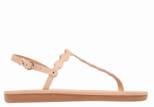 Sandali Con Cinturino Sul Retro Ancient Greek Sandals Velos Flip Flop Donna Beige | KZT5922RS