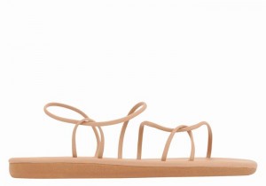 Sandali Con Cinturino Sul Retro Ancient Greek Sandals Proorismos Donna Beige | AHV3173PS