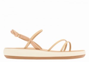 Sandali Con Cinturino Sul Retro Ancient Greek Sandals Polis Donna Beige | XTY1527AK