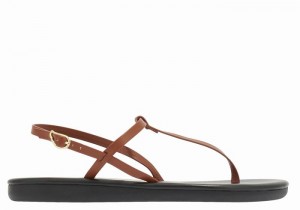 Sandali Con Cinturino Sul Retro Ancient Greek Sandals Lito Flip Flop Donna Marroni Scuro | LCZ9549OX