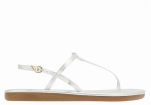 Sandali Con Cinturino Sul Retro Ancient Greek Sandals Lito Flip Flop Donna Argento | PIJ1034JQ