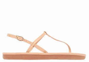 Sandali Con Cinturino Sul Retro Ancient Greek Sandals Lito Flip Flop Donna Beige | JAI9965CT