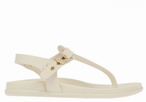 Sandali Con Cinturino Sul Retro Ancient Greek Sandals Alki Flip Flop Donna Bianche | IUW9033NY