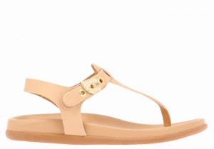 Sandali Con Cinturino Sul Retro Ancient Greek Sandals Alki Flip Flop Donna Beige | PQN3230FZ