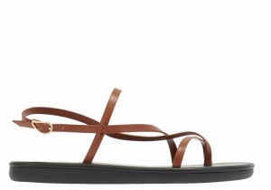 Sandali Con Cinturino Sul Retro Ancient Greek Sandals Alethea Donna Marroni Scuro | GDK5423CE