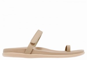 Sandali Con Puntale Ancient Greek Sandals Dokos Donna Grigie Marroni | APE7181TA