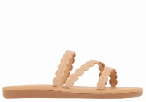 Sandali Scorrevoli Ancient Greek Sandals Oceanis Donna Beige | JYU8954NS