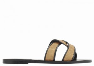 Sandali Scorrevoli Ancient Greek Sandals Desmos Donna Marroni Nere | OSM5236VQ