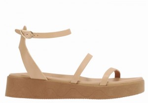 Sandali con Plateau Ancient Greek Sandals Nissida Leather Donna Beige | DLF5365SE