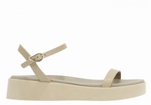 Sandali con Plateau Ancient Greek Sandals Irida Leather Donna Grigie Marroni | WWZ6321XF