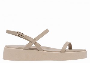 Sandali con Plateau Ancient Greek Sandals Evriali Leather Donna Grigie Marroni | XMS3857ZY