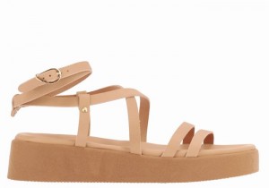 Sandali con Plateau Ancient Greek Sandals Aristea Leather Donna Beige | YVD1004AO