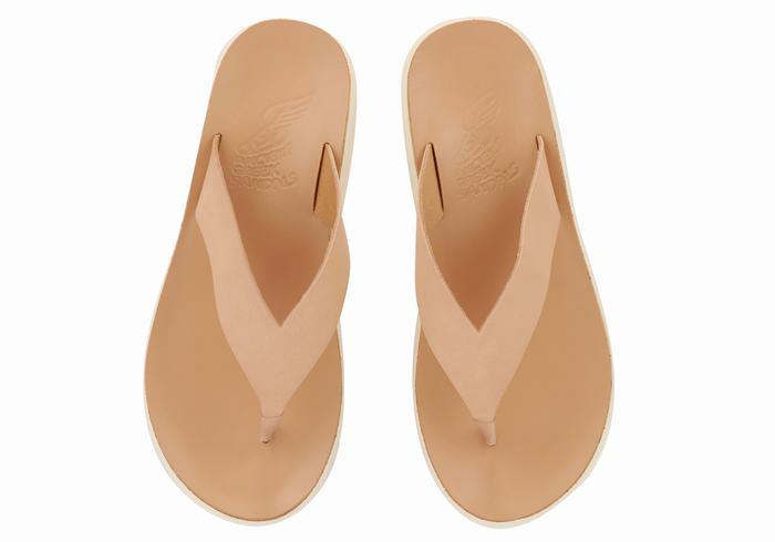 Infradito Ancient Greek Sandals Charys Comfort Donna Beige | SPX1660DX