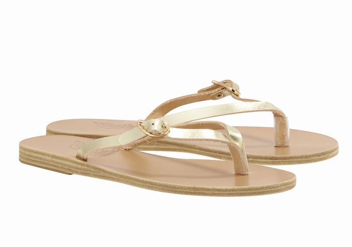 Infradito Ancient Greek Sandals Dihalo Leather Donna Oro Bianche | WJD8654FE