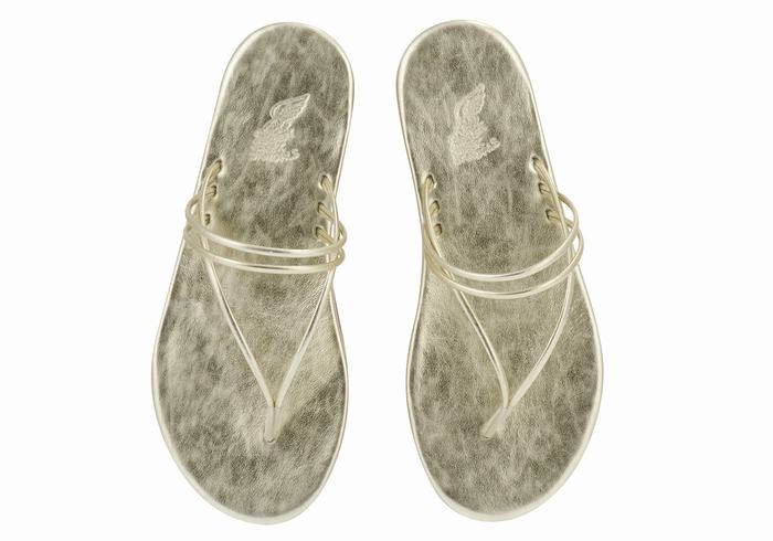 Infradito Ancient Greek Sandals E Donna Oro Bianche | OGC1691OE