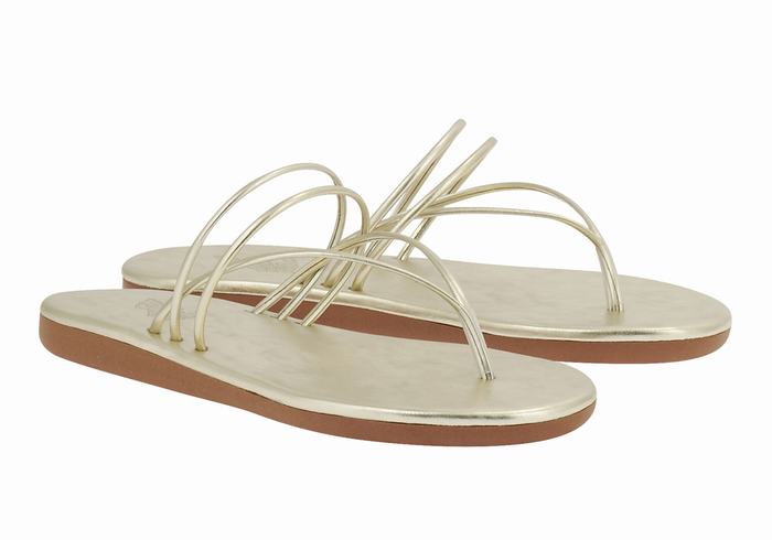 Infradito Ancient Greek Sandals E Donna Oro Bianche | OGC1691OE