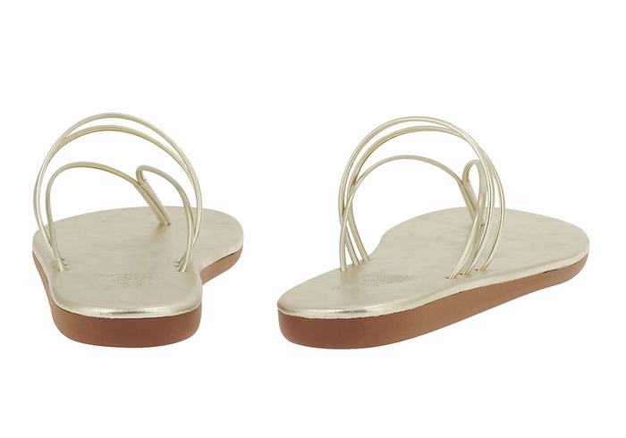 Infradito Ancient Greek Sandals E Donna Oro Bianche | OGC1691OE