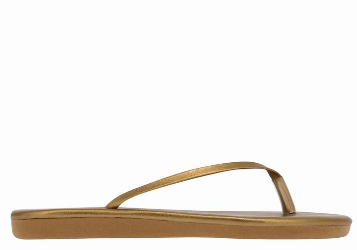 Infradito Ancient Greek Sandals Saionara Donna Oro Marroni | HTF6091TL