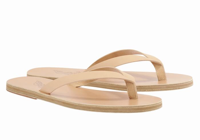 Infradito Ancient Greek Sandals Solon Leather Uomo Beige | ZHK288ZS