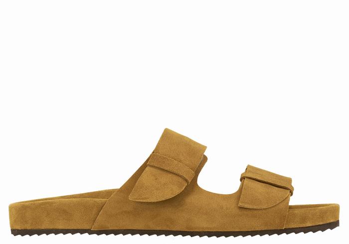 Pantofole Ancient Greek Sandals Diogenis Uomo Marroni | OUT2572OJ