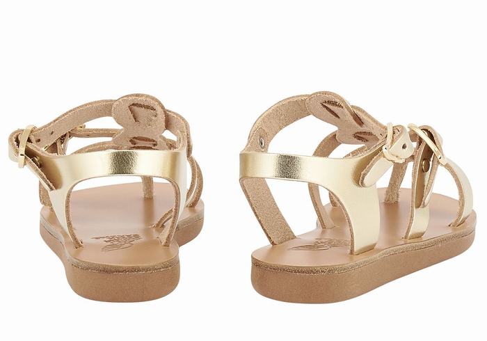 Sandali Bassi Ancient Greek Sandals Little Grace Kelly Soft Bambino Oro Bianche | CMS7096YJ