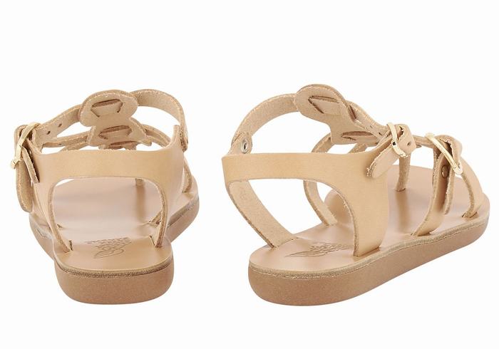 Sandali Bassi Ancient Greek Sandals Little Grace Kelly Soft Bambino Beige | MNO7611IQ