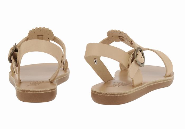 Sandali Bassi Ancient Greek Sandals Little Amber Soft Bambino Beige | IDI9872KQ