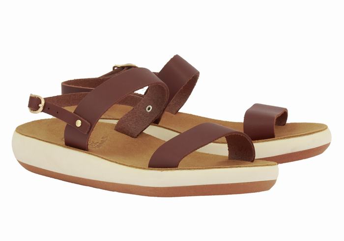 Sandali Casual Ancient Greek Sandals Clio Comfort Donna Caffè | NJL2562VI