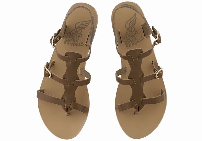 Sandali Casual Ancient Greek Sandals Grace Kelly Leather Donna Marroni Scuro | HYI9859BB