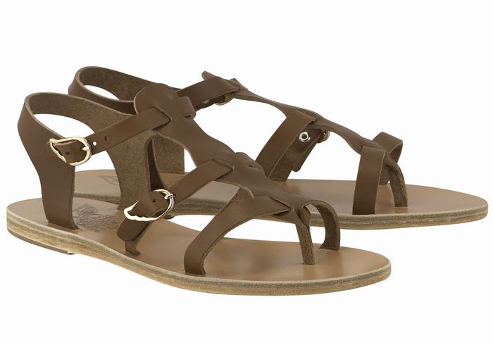 Sandali Casual Ancient Greek Sandals Grace Kelly Leather Donna Marroni Scuro | HYI9859BB