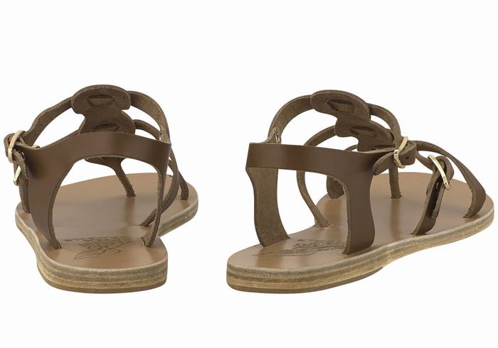 Sandali Casual Ancient Greek Sandals Grace Kelly Leather Donna Marroni Scuro | HYI9859BB