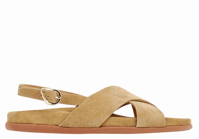 Sandali Casual Ancient Greek Sandals Ikesia Donna Marroni | ZZT1350PH