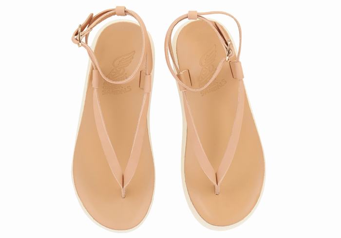 Sandali Con Cinturino Ancient Greek Sandals Salomi Comfort Donna Beige | JYJ7625IL