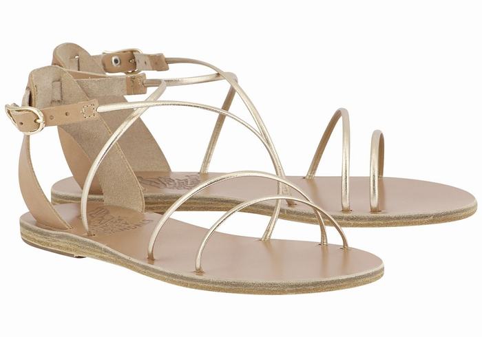 Sandali Con Cinturino Ancient Greek Sandals Meloivia Donna Beige Oro Bianche | BGX468MS