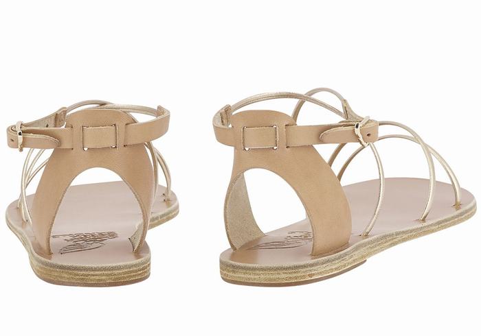 Sandali Con Cinturino Ancient Greek Sandals Meloivia Donna Beige Oro Bianche | BGX468MS