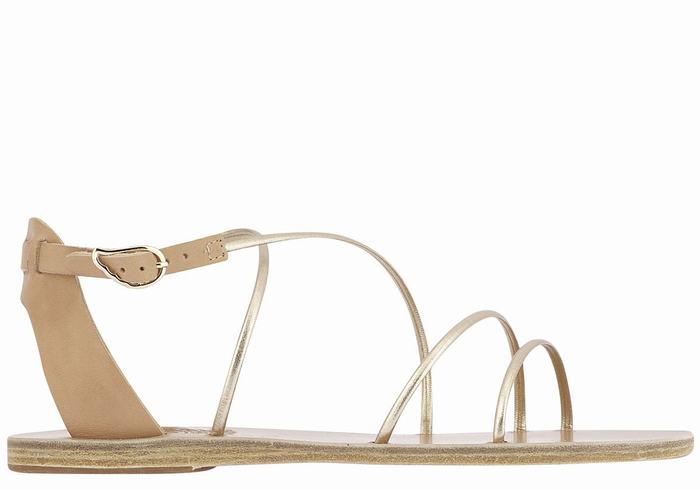 Sandali Con Cinturino Ancient Greek Sandals Meloivia Donna Beige Oro Bianche | BGX468MS