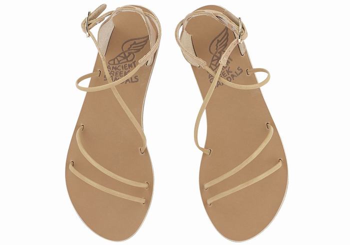 Sandali Con Cinturino Ancient Greek Sandals Meloivia Donna Beige | VEE1843KU