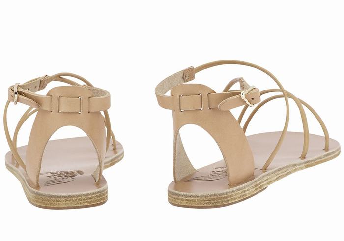 Sandali Con Cinturino Ancient Greek Sandals Meloivia Donna Beige | VEE1843KU