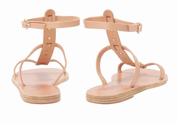 Sandali Con Cinturino Ancient Greek Sandals Meliti Bee Donna Beige | CFT8558CN