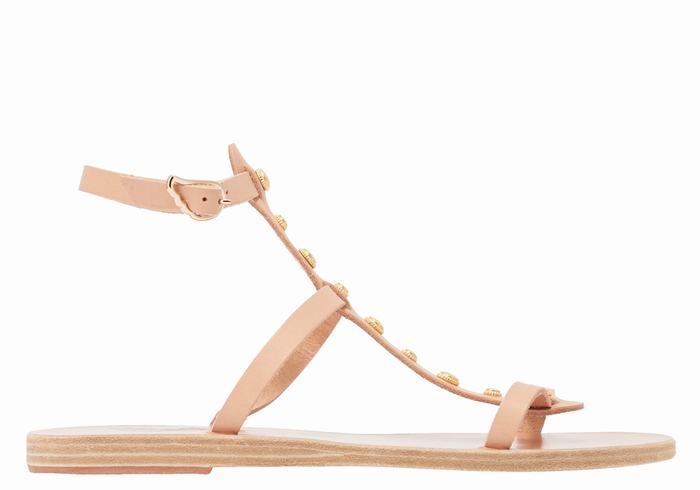 Sandali Con Cinturino Ancient Greek Sandals Meliti Bee Donna Beige | CFT8558CN