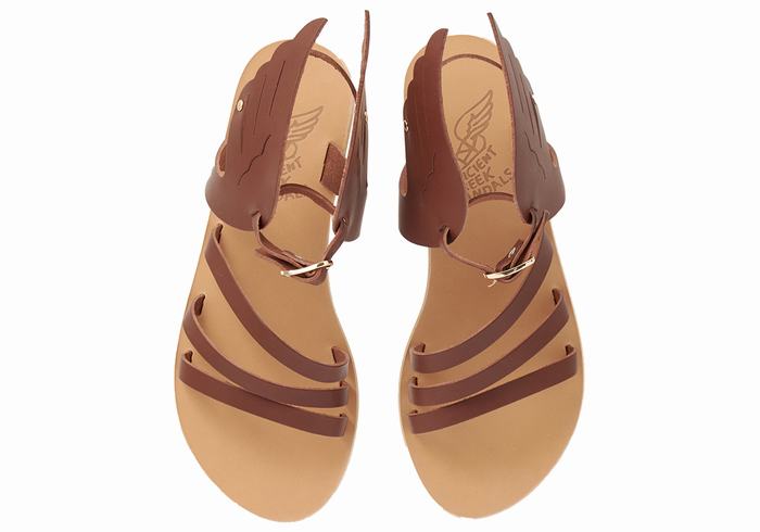 Sandali Con Cinturino Ancient Greek Sandals Ikaria Leather Donna Caffè | DDH1323JP