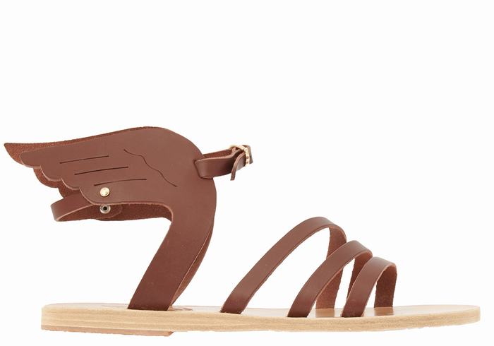 Sandali Con Cinturino Ancient Greek Sandals Ikaria Leather Donna Caffè | DDH1323JP