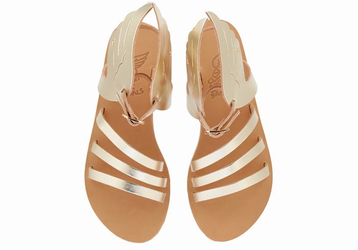 Sandali Con Cinturino Ancient Greek Sandals Ikaria Leather Donna Oro Bianche | FXT8011LT