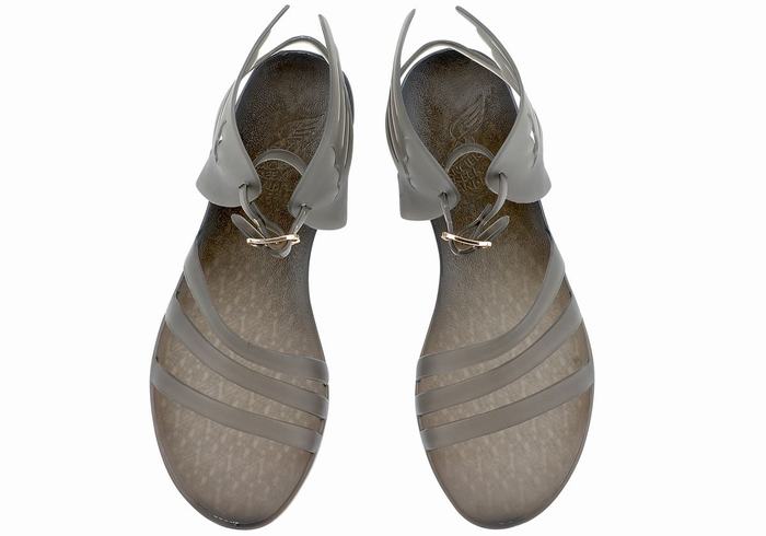 Sandali Con Cinturino Ancient Greek Sandals Ikaria Donna Grigie | BQV7675HC