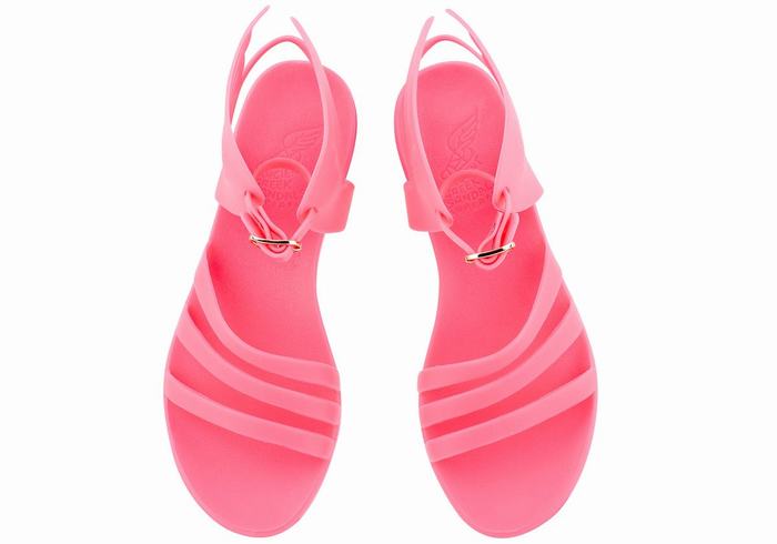 Sandali Con Cinturino Ancient Greek Sandals Ikaria Donna Rosa Rosa | DDE7461YM