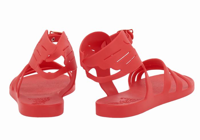 Sandali Con Cinturino Ancient Greek Sandals Ikaria Donna Rosse | BRX7277GN