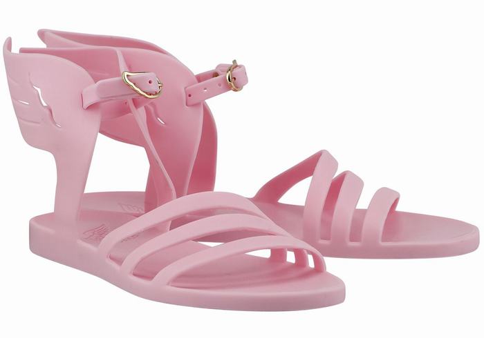 Sandali Con Cinturino Ancient Greek Sandals Ikaria Donna Rosa | XGP8038XG